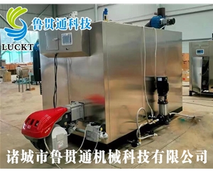 1噸燃?xì)猓ㄓ停┱羝l(fā)生器 現(xiàn)貨供應(yīng)，工廠直銷，規(guī)格型號(hào)眾多，可來(lái)電咨詢